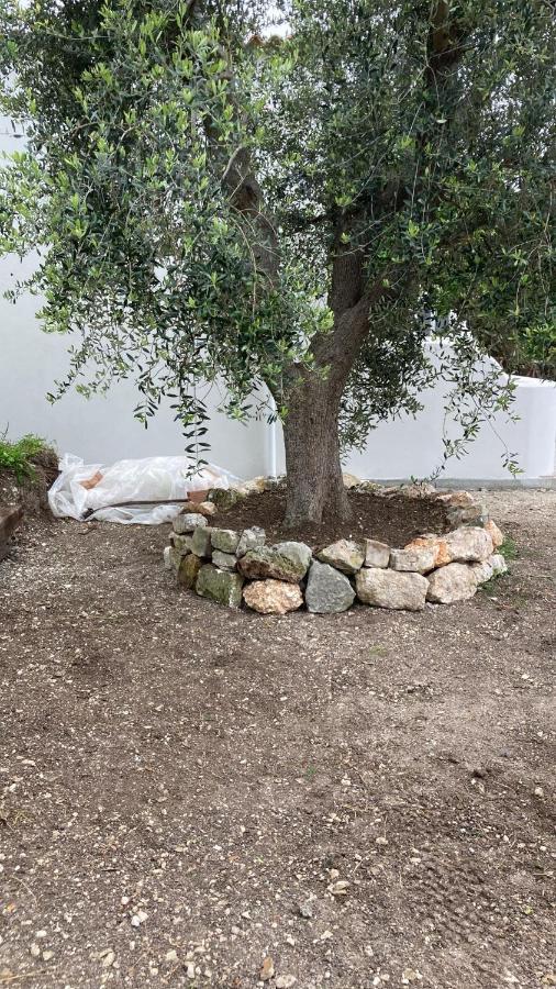 *Suite *Pozzo Dei Desideri Peschici Extérieur photo